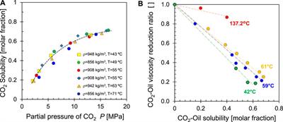 Pore-scale phenomena in carbon geological storage (Saline aquifers—Mineralization—Depleted oil reservoirs)